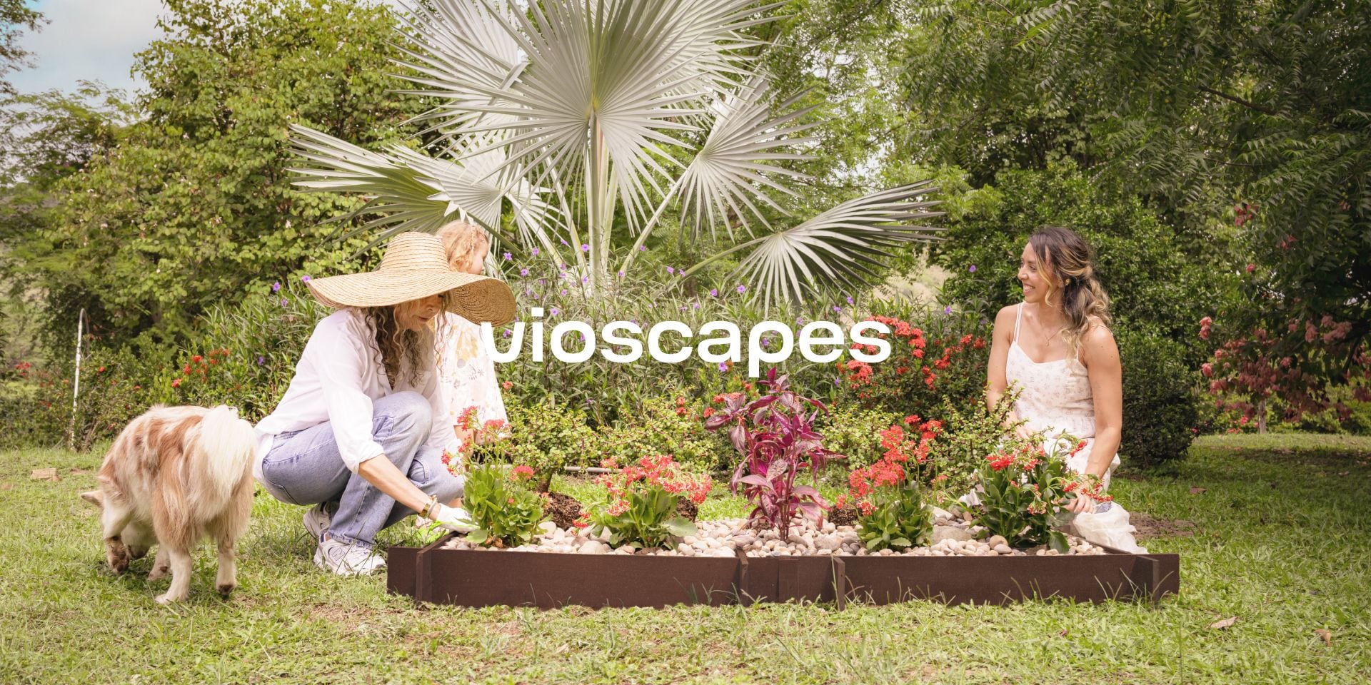 Vioscapes