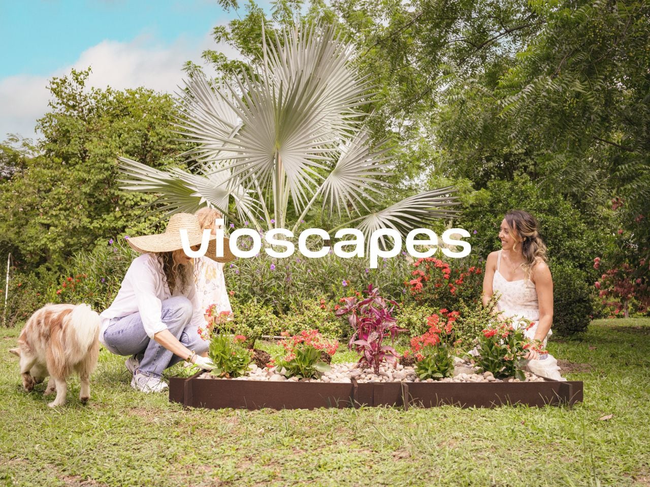 Vioscapes